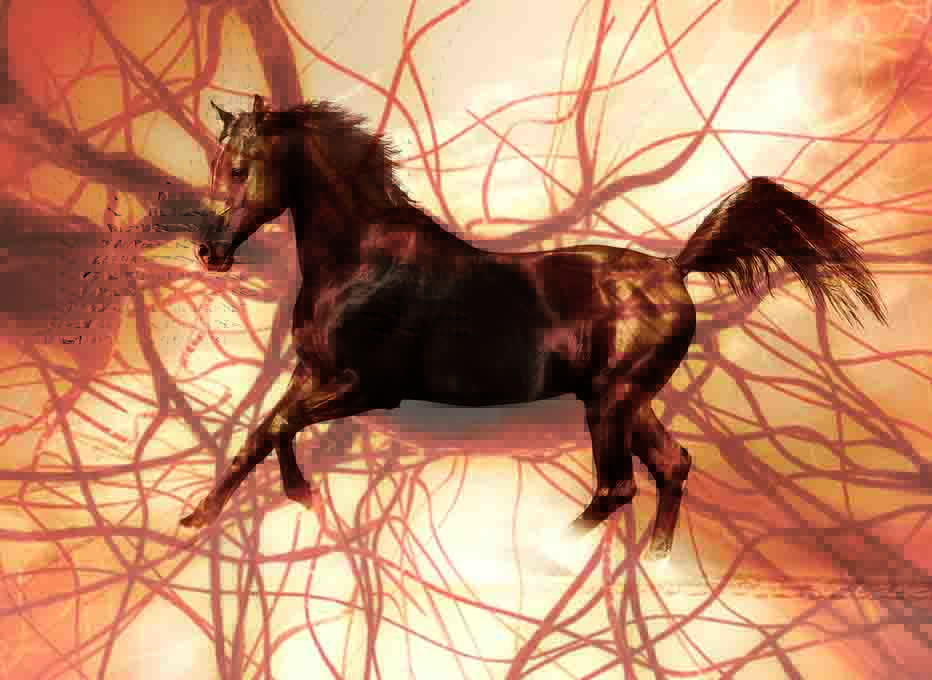 الفوائد الصحية للخلايا الجذعية